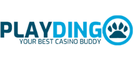 playdingo png logo